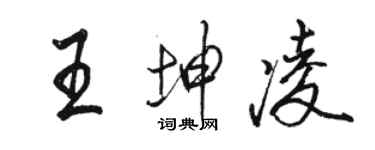 駱恆光王坤凌行書個性簽名怎么寫