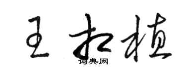 駱恆光王相植草書個性簽名怎么寫