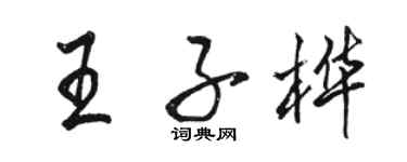 駱恆光王子樺行書個性簽名怎么寫
