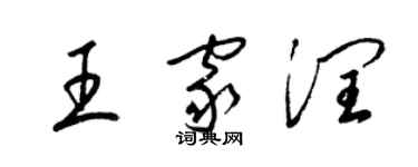 梁錦英王家潤草書個性簽名怎么寫