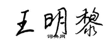 王正良王明黎行書個性簽名怎么寫