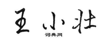 駱恆光王小壯行書個性簽名怎么寫
