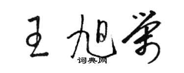 駱恆光王旭榮草書個性簽名怎么寫