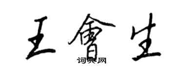 王正良王會生行書個性簽名怎么寫