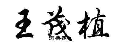 胡問遂王茂植行書個性簽名怎么寫