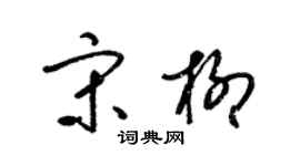 梁錦英宋柳草書個性簽名怎么寫