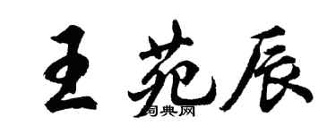 胡問遂王苑辰行書個性簽名怎么寫