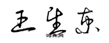 曾慶福王望京草書個性簽名怎么寫