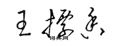 駱恆光王標香草書個性簽名怎么寫