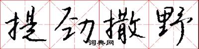 提勁撒野怎么寫好看