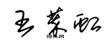 朱錫榮王萃虹草書個性簽名怎么寫