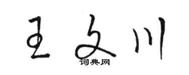 駱恆光王文川草書個性簽名怎么寫