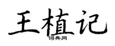 丁謙王植記楷書個性簽名怎么寫