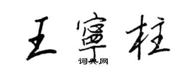 王正良王寧柱行書個性簽名怎么寫