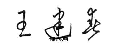 駱恆光王建春草書個性簽名怎么寫