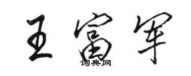 駱恆光王富軍行書個性簽名怎么寫