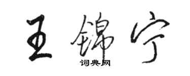 駱恆光王錦寧行書個性簽名怎么寫