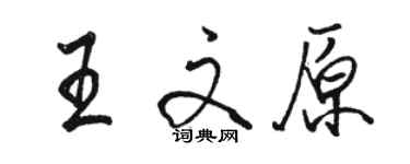 駱恆光王文原行書個性簽名怎么寫