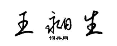 梁錦英王昶生草書個性簽名怎么寫