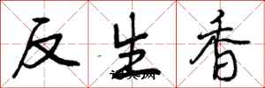 曾慶福反生香行書怎么寫