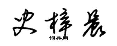 朱錫榮史梓晨草書個性簽名怎么寫