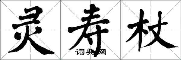 翁闓運靈壽杖楷書怎么寫