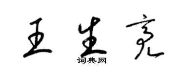 梁錦英王生亮草書個性簽名怎么寫