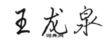 駱恆光王龍泉行書個性簽名怎么寫
