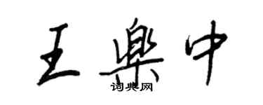 王正良王樂中行書個性簽名怎么寫