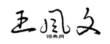 曾慶福王風文草書個性簽名怎么寫
