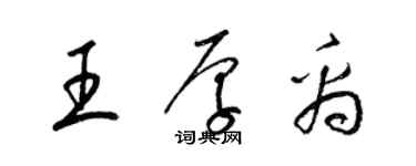 梁錦英王厚禹草書個性簽名怎么寫