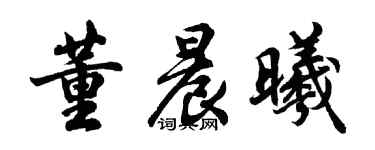 胡問遂董晨曦行書個性簽名怎么寫