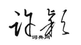 駱恆光許穎草書個性簽名怎么寫