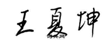 王正良王夏坤行書個性簽名怎么寫