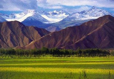 1984年11月13日柴達木首次發現舊石器和南極石。_歷史上的今天