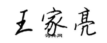 王正良王家亮行書個性簽名怎么寫