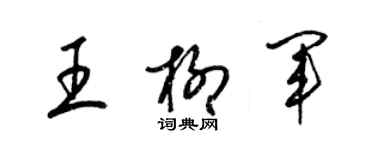 梁錦英王柳軍草書個性簽名怎么寫