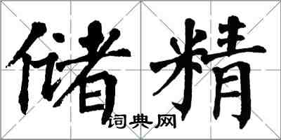 翁闓運儲精楷書怎么寫