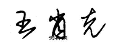 朱錫榮王肖克草書個性簽名怎么寫