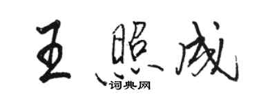 駱恆光王照成行書個性簽名怎么寫