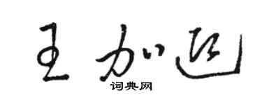 駱恆光王加迎草書個性簽名怎么寫