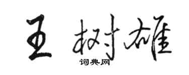 駱恆光王樹雄行書個性簽名怎么寫