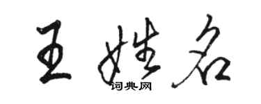 駱恆光王姓名行書個性簽名怎么寫