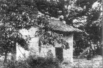 020114.jpg(12681bytes)