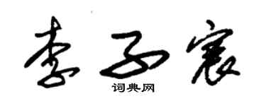 朱錫榮李子宸草書個性簽名怎么寫