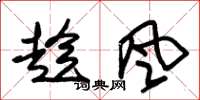 朱錫榮趁風草書怎么寫