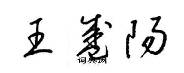 梁錦英王盛陽草書個性簽名怎么寫