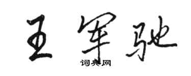 駱恆光王軍馳行書個性簽名怎么寫