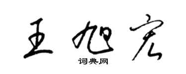 梁錦英王旭宏草書個性簽名怎么寫