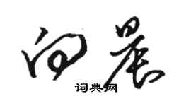 駱恆光向晨草書個性簽名怎么寫